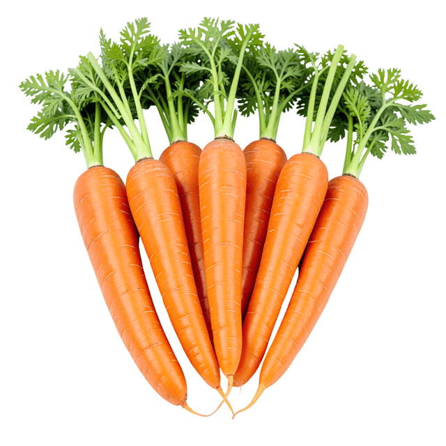 https://cdn.ratnamanieshop.com/public/product-images/Carrot_1769850638219.png