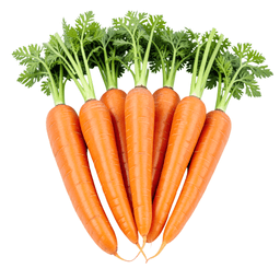 https://cdn.ratnamanieshop.com/public/product-images/Carrot_1769850638219.png