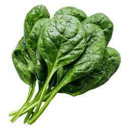 https://cdn.ratnamanieshop.com/public/product-images/Fresh_Spinach_1769846598299.png